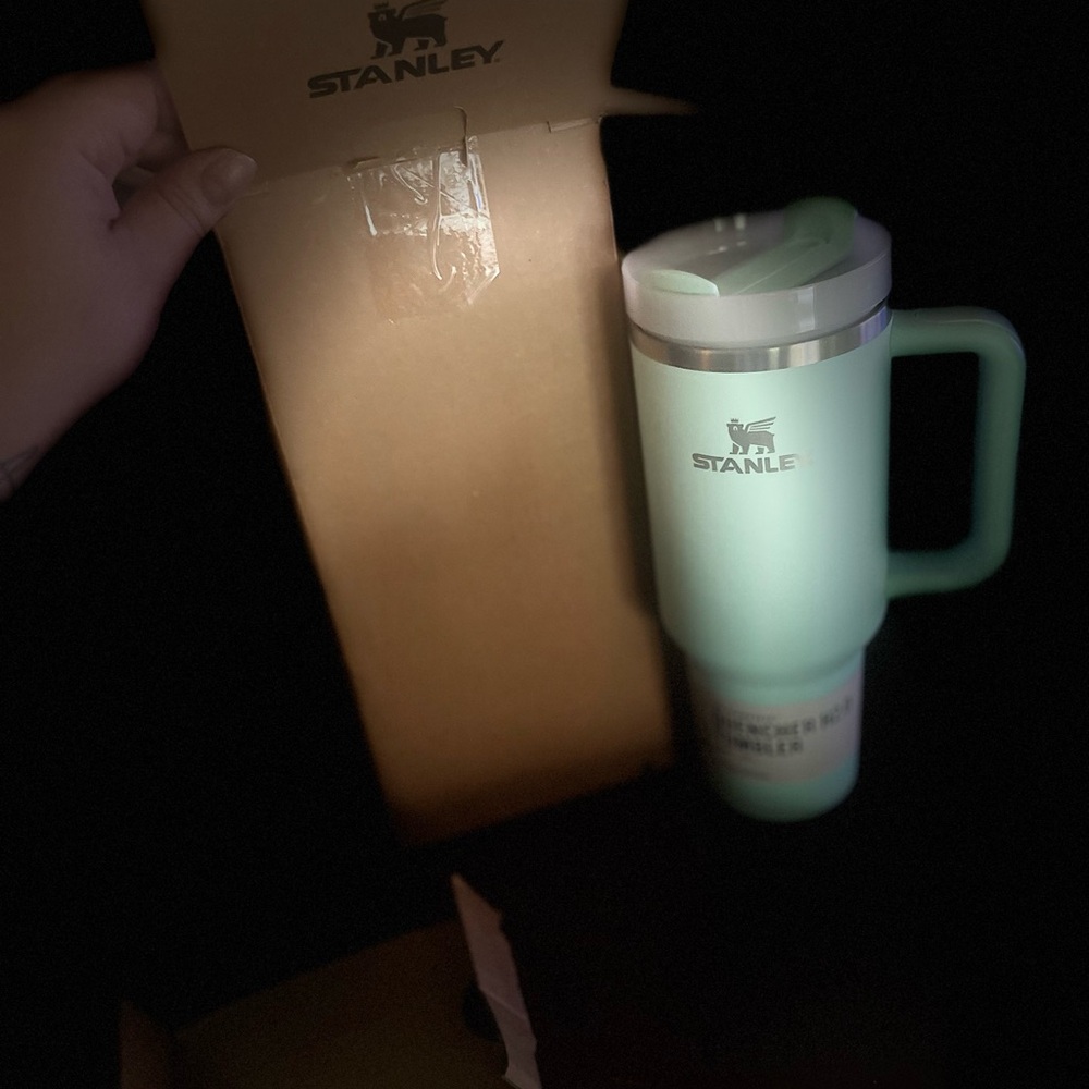 Stanley Pastel Green Travel Mug with Handle